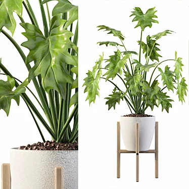 Exquisite Philodendron Xanadu: Plant Collection 094 3D model image 1 