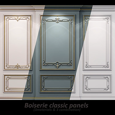 Classic Boiserie Wall Molding 3D model image 1 