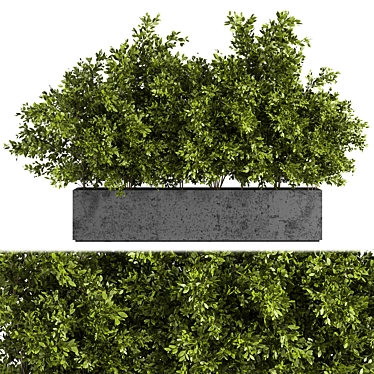 Outdoor Oasis: Concrete Box Tree 3D model image 1 