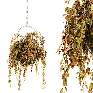 Indoor Hanging Pot Set 168 3D model image 1 