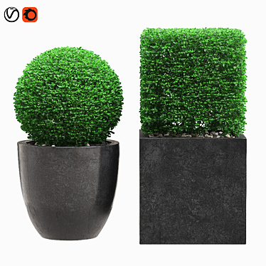 Artificial Buxus Topiary Plant 3D model image 1 