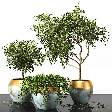 Versatile Plant Collection Pack 3D model image 1 