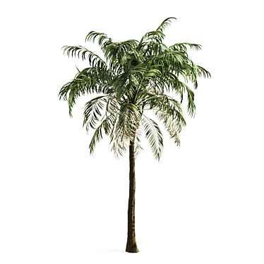 Exotic Palm Tree Decor 3D model image 1 