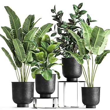 Tropical Plant Collection in Stylish Black Pots 3D model image 1 