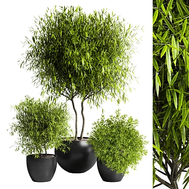 Outdoor Plant 11: Realistic 3D Model 3D model image 1 