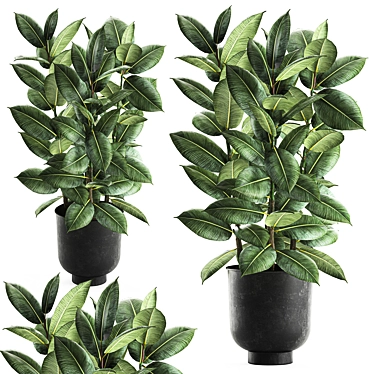 Exotic Jungle: Vig Planter, Set of 2 - Tropical Plants 3D model image 1 