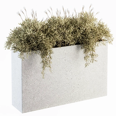 Concrete Outdoor Plant Box Set 3D model image 1 