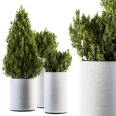 Pine Indoor Plant Set: Bush & Tree 3D model image 1 