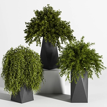 Multi-Part Indoor Plant Set 3D model image 1 