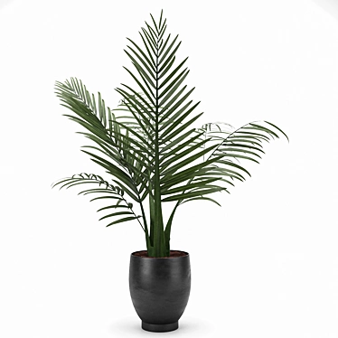 Versatile Indoor & Outdoor Palm 3D model image 1 