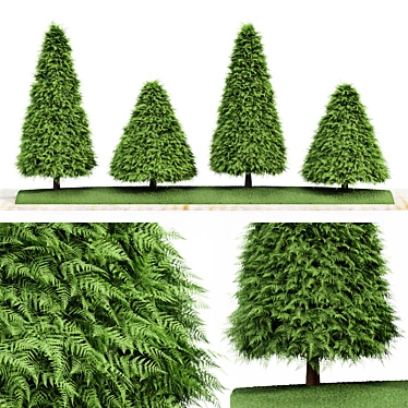 Cone Green Buxus Trees: 3D Models 3D model image 1 