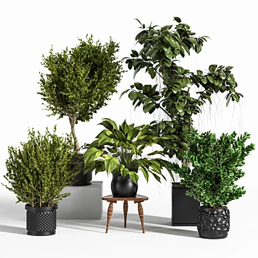 Ultimate Indoor Plant Set 3D model image 1 