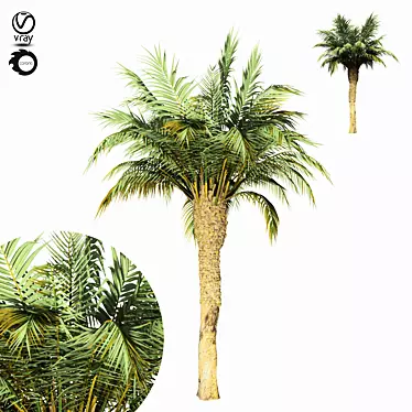 Tropical Paradise: Palm Tree 11s 3D model image 1 