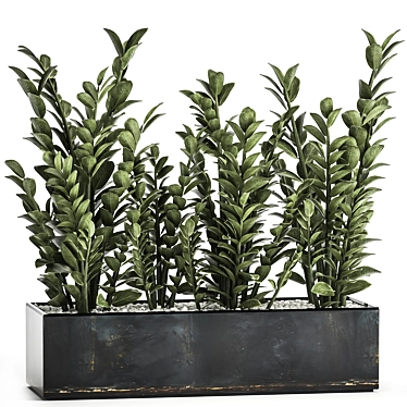 Exotic Plant Collection: Indoor and Outdoor Décor 3D model image 1 