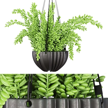 126 Plant Collection: High-Quality, Lightweight Volume 3D model image 1 