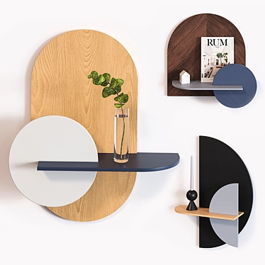 Versatile Modular Wall Shelf with Hidden Storage 3D model image 1 