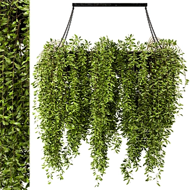 Metal Box Indoor Hanging Plants - Set 82 3D model image 1 