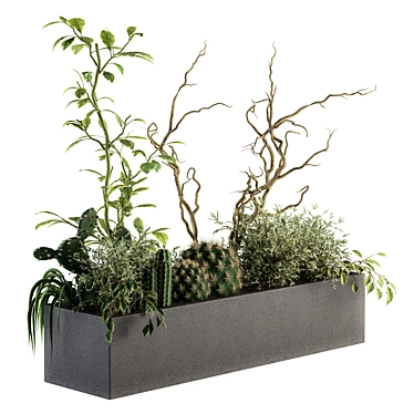  Lush Greenery Box - Indoor Plant Set 3D model image 1 