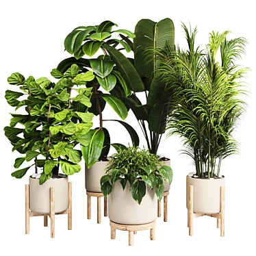 Elegant Wood Vase Collection: 30 Indoor Plants 3D model image 1 