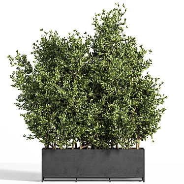 Metal Box Outdoor Tree Plant 3D model image 1 