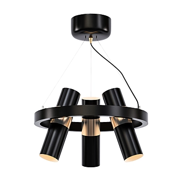 Elegant Black Gold Pendant 3D model image 1 