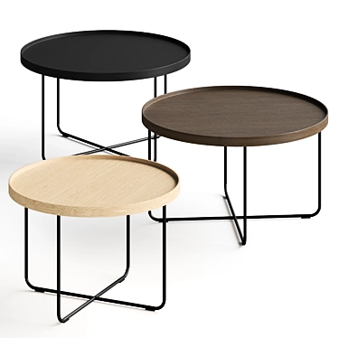 Sleek Paola Lenti Coffee Tables 3D model image 1 