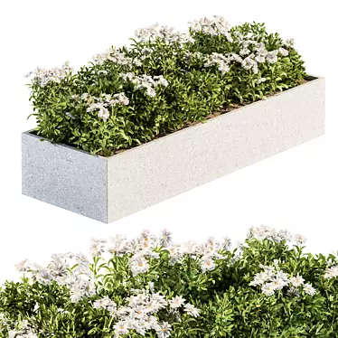 Beautiful White Flower Bush Set 3D model image 1 