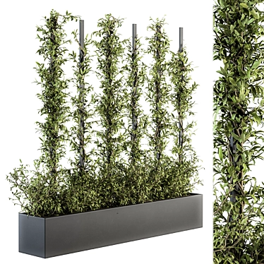 Outdoor Vertical Garden Frame: Fitowall 20 3D model image 1 