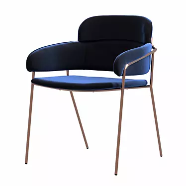 Elegant Velvet Metal Chair 3D model image 1 