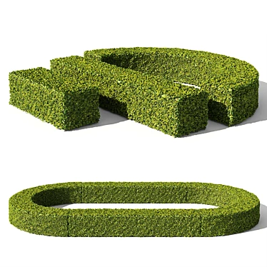 Evergreen Buxus Sempervirens Shrub 3D model image 1 