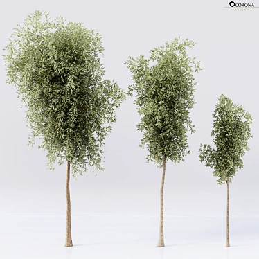 Premium Quality Detailed Tree 3D model image 1 