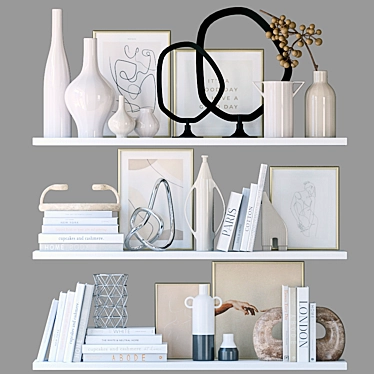 Stylish Decor Shelves 3D model image 1 