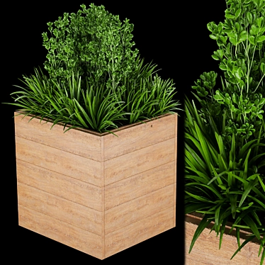 Premium Plant Collection - Vol. 134 3D model image 1 