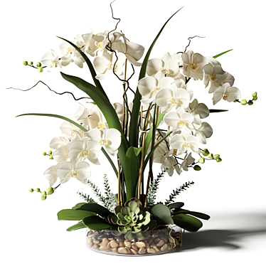 Elegant White Orchid Arrangement 3D model image 1 
