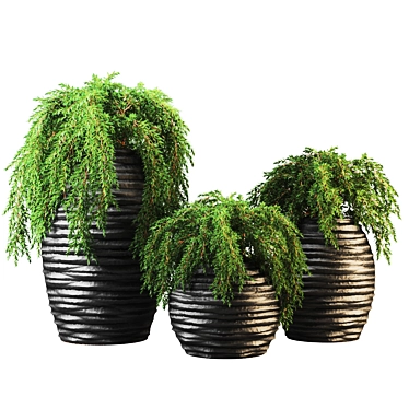 Botanic Oasis: Exquisite Plant Collection 3D model image 1 