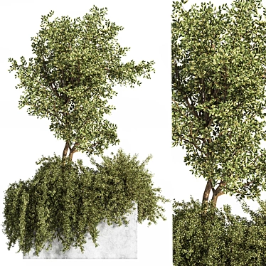 Outdoor Bliss: Majestic Tree 06 3D model image 1 