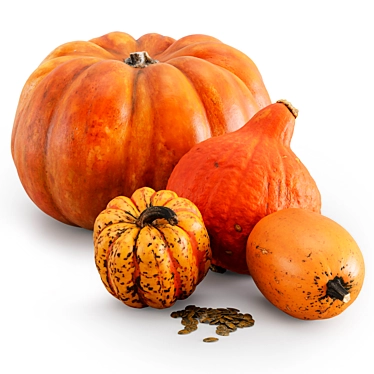 Fall Harvest Pumpkin Set 3D model image 1 