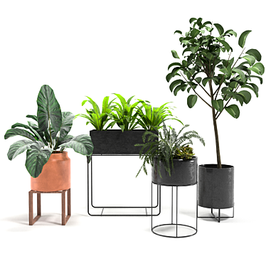 5 Plant Variety Pack Vases 3D model image 1 
