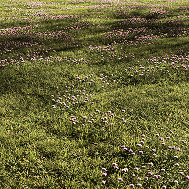 Lush Clover Fields: Scenic Grass and Clover Plantation 3D model image 1 