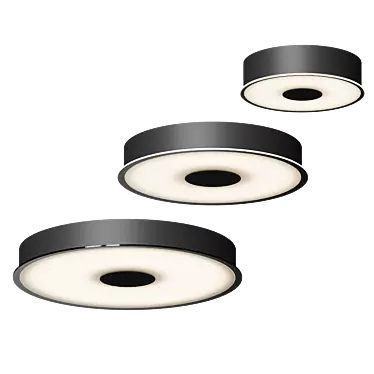 Elegant Parker LED Fixture 3D model image 1 