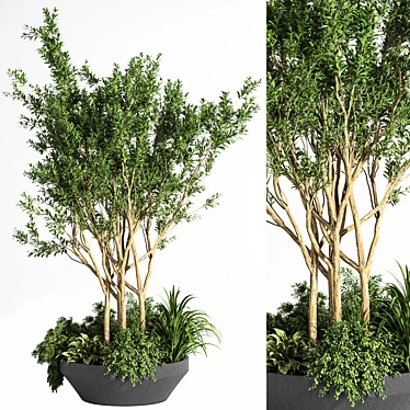 Outdoor Oasis Tree 08 3D model image 1 
