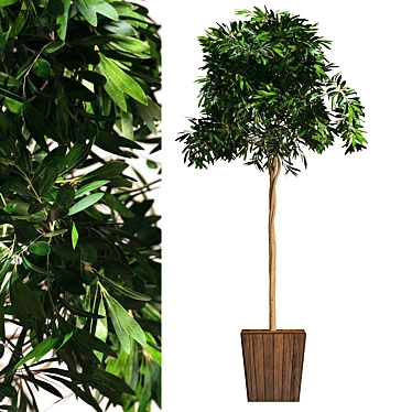 Modern Botanical Bushes Interior Décor 3D model image 1 