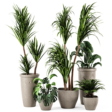 Rustic Concrete Pot with Indoor Plants - Set 97 3D model image 1 