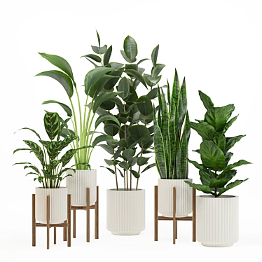 PBR-Optimized Indoor Plant Set 3D model image 1 