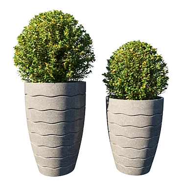 Tropical Pot Plant Collection 3D model image 1 