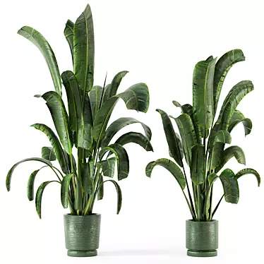 Concrete Pot Indoor Plants - Set 99 3D model image 1 