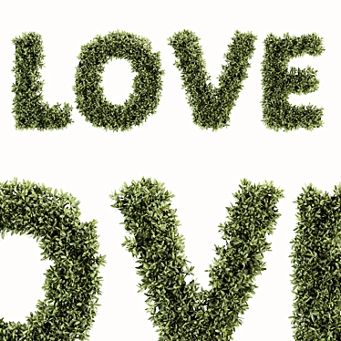 Botanical Love Wall Art 3D model image 1 