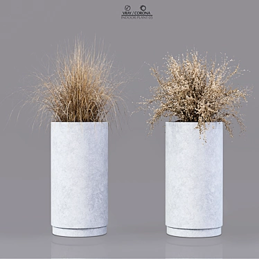 Premium Indoor Plant 05 3D model image 1 
