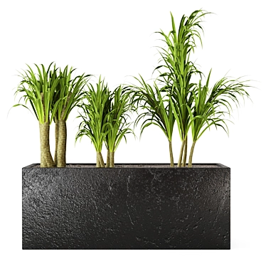 Exquisite Indoor Plant Collection 3D model image 1 