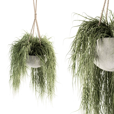 197 Indoor Hanging Plant Set 3D model image 1 